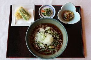 冷やし山菜そば
