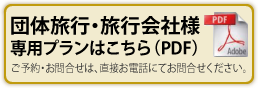 団体旅行・旅行会社様専用プランはこちら（PDF）